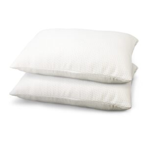 MATTRESS-SHED-PILLOWX2-00.jpg