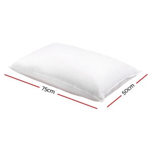 PILLOW-GOOSE-X2-01.jpg