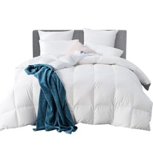 QUILT-GOOSE-800-Q-00.jpg